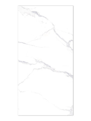 Polished Polaris White 60*120cm