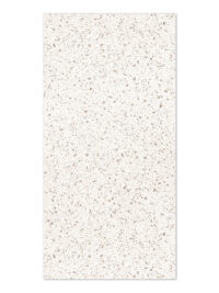 Marvel Speckle 60*120cm (2.16 SQM/BOX) GP - RG50050