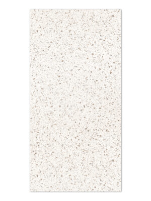 Marvel Speckle 60*120cm (2.16 SQM/BOX) GP - RG50050