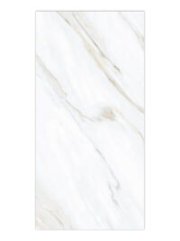 Calacata Gold 60*120cm (2.16SQM/BOX) GP - RG50030