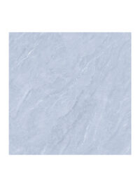 Matt Hardbody Ceramic Floor Tile 60*60cm (1.8SQM/BOX) - RVG3008